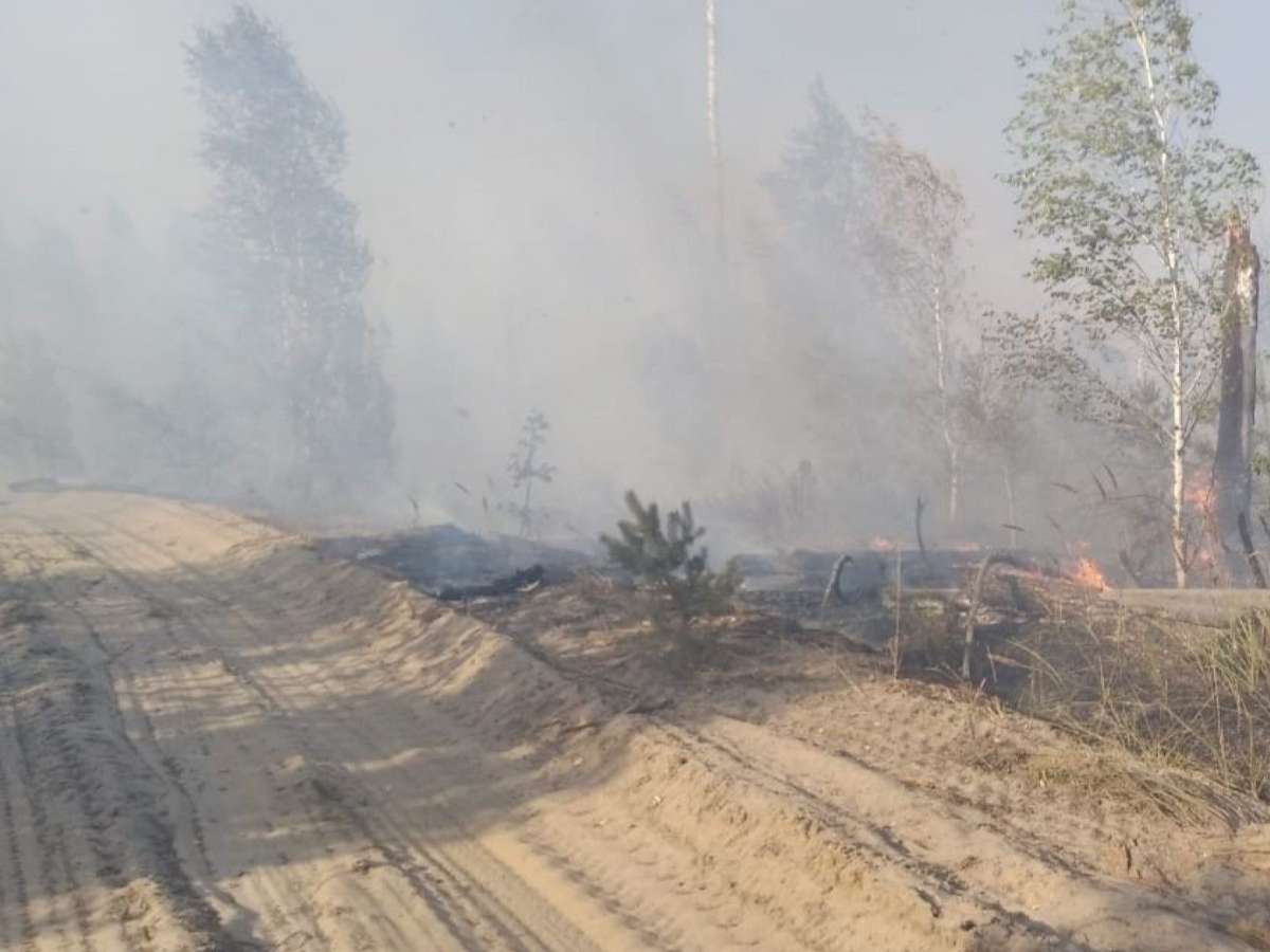 Пожары в Рязанской области продолжаются.
