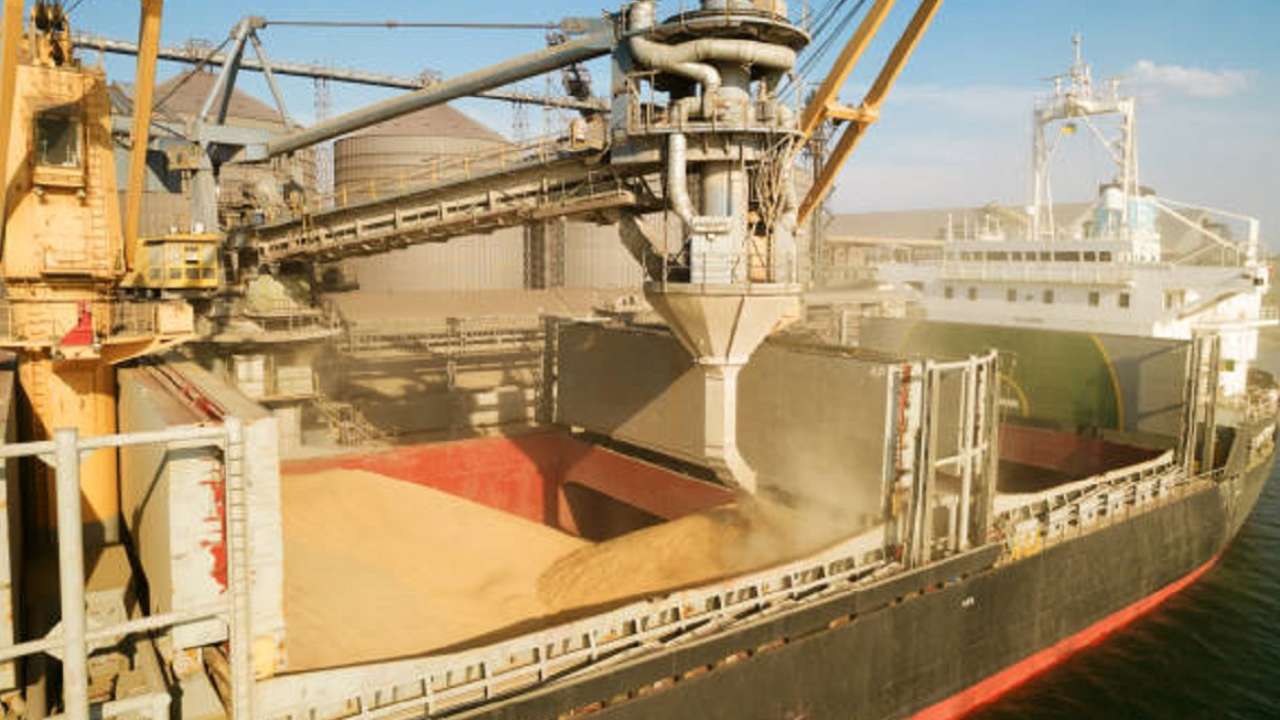 Россия возобновила участие в зерновой сделке