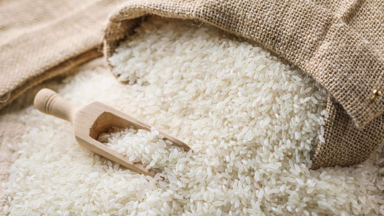 Минсельхоз намерен сохранить запрет на экспорт российского риса в 2023 году