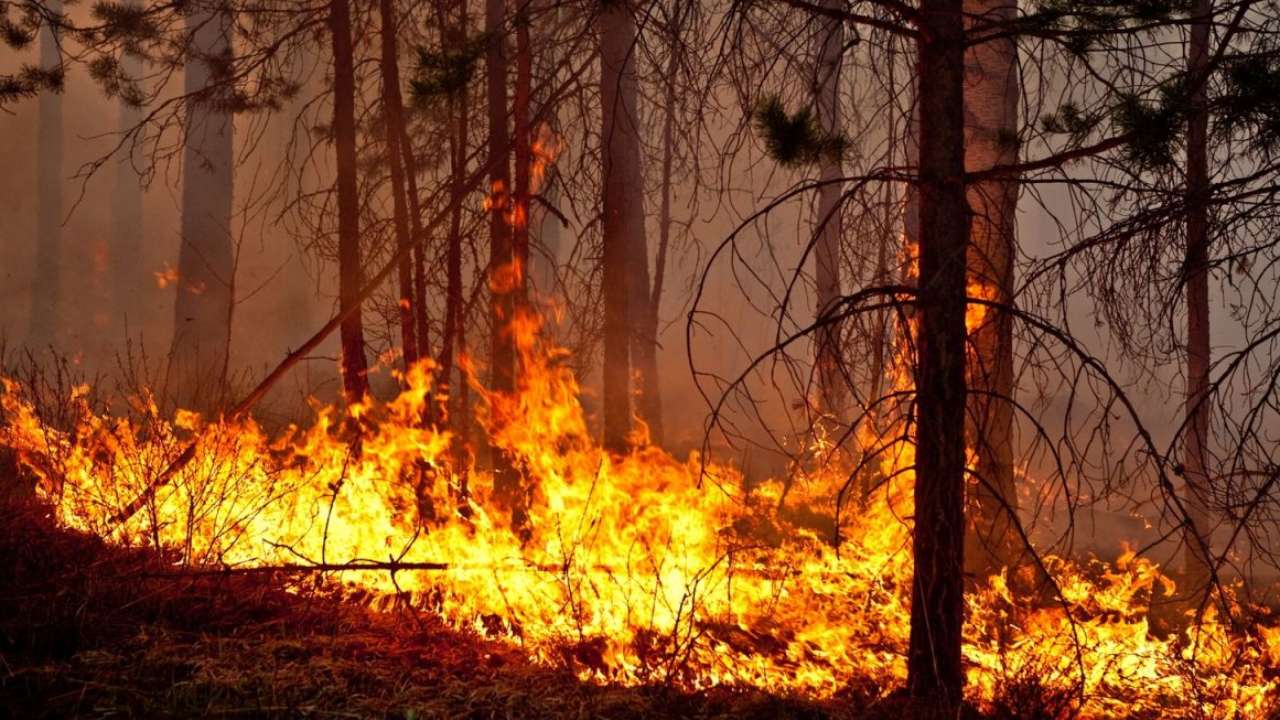 В НИЯУ МИФИ создали наноспутник «Святобор-1» для отслеживания лесных пожаров и других стихийных бедствий 