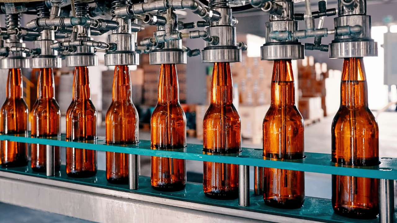 Российские пивовары просят правительство о поддержке из-за высокой зависимости от импортного хмеля