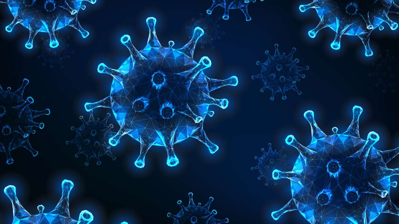 Ученые ДГТУ нашли способ контролировать распространение вирусов