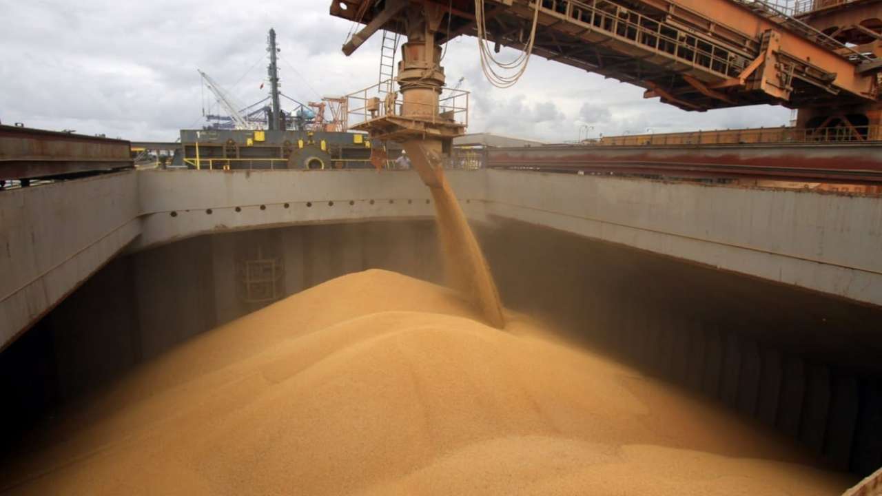 Россия ввела ограничения по зерновой сделке до возобновления экспорта аммиака