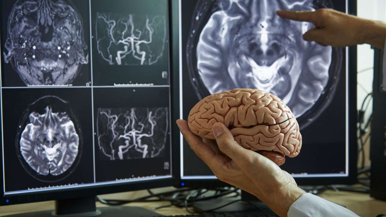 Ученые БФУ им. И. Канта разработали программу для быстрой диагностики эпилепсии
