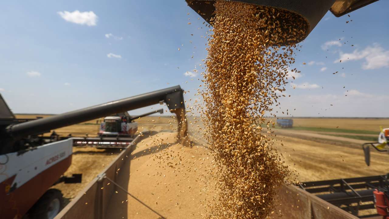 Глобальные зернотрейдеры с 1 июля прекратили экспортировать российское зерно
