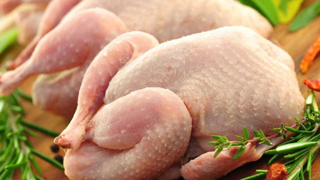ФАС проверит оптово-отпускные цены на мясо птицы