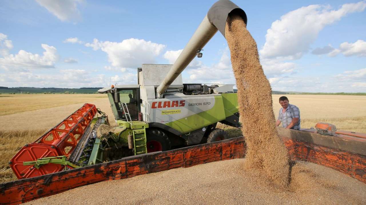 В России собрали более 105 млн тонн зерна