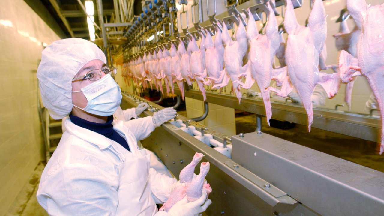 ФАС попросила крупнейших производителей обосновать скачок цен на куриное мясо