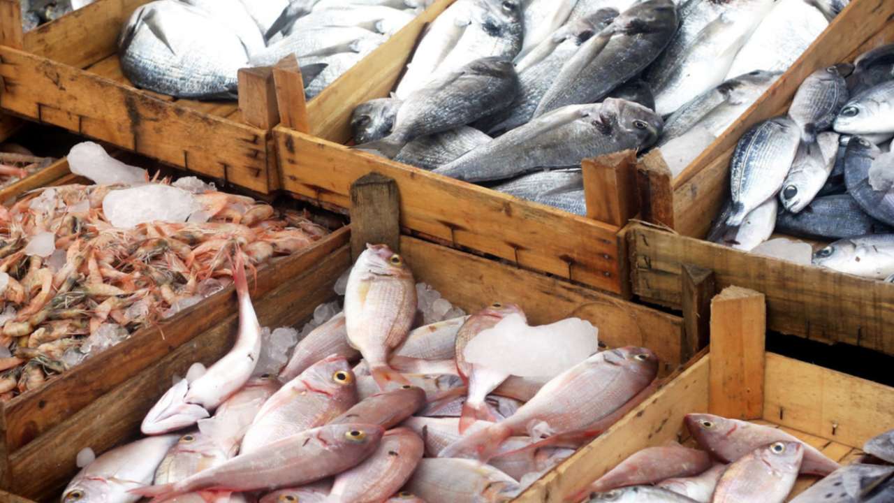 Россия ограничила ввоз рыбы и морепродуктов из Японии