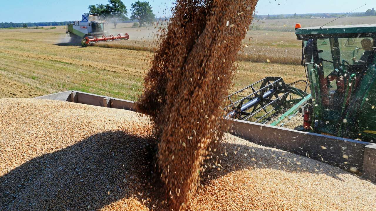Российские аграрии собрали 147 млн тонн зерна