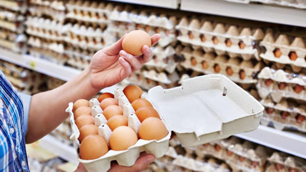 Российские птицеводы выступили против дополнительных мер по импорту яиц