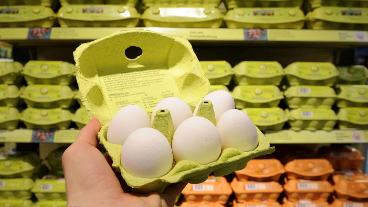 Путин извинился за рост цен на куриные яйца в стране и заверил, что ситуация будет исправлена