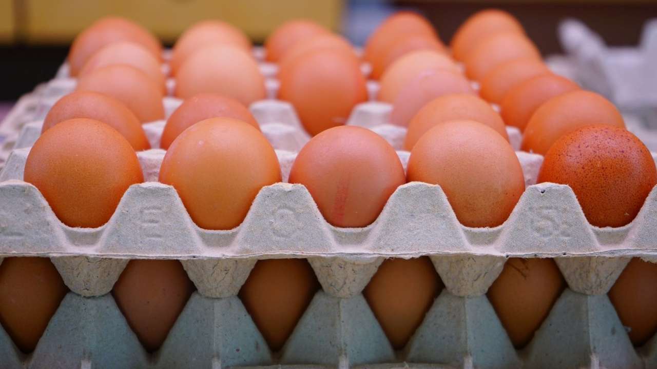 В Россию поступила первая партия импортных куриных яиц