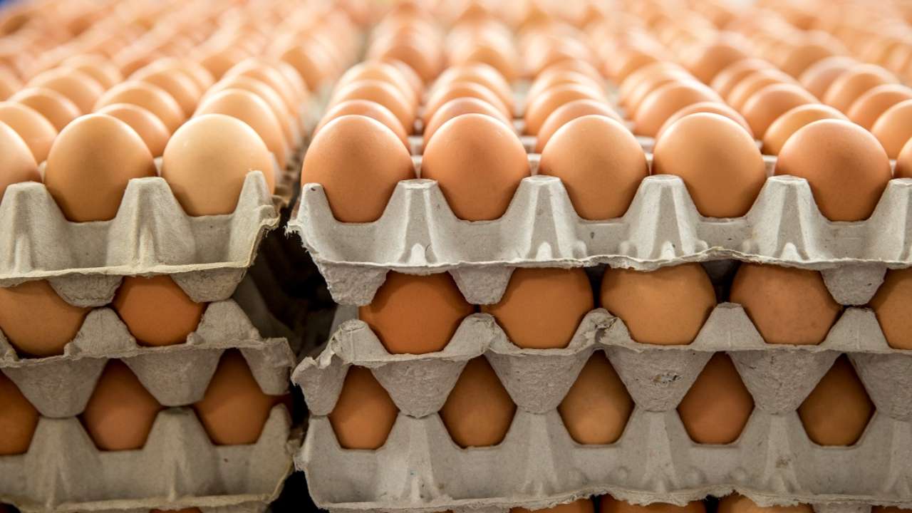 Азербайджан поставил в Россию уже около 1,5 млн пищевых яиц