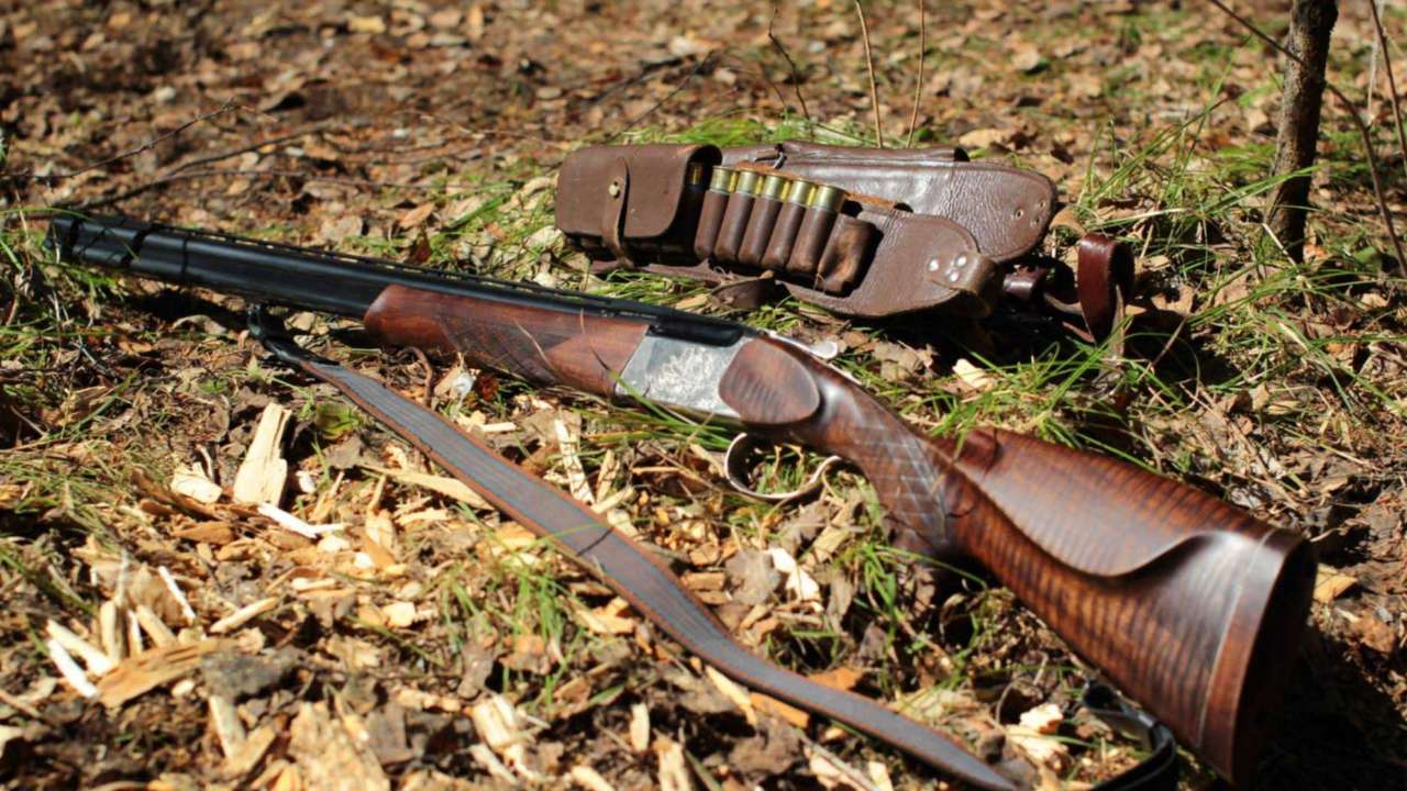 В России изменился порядок выдачи разрешения на охотничье оружие