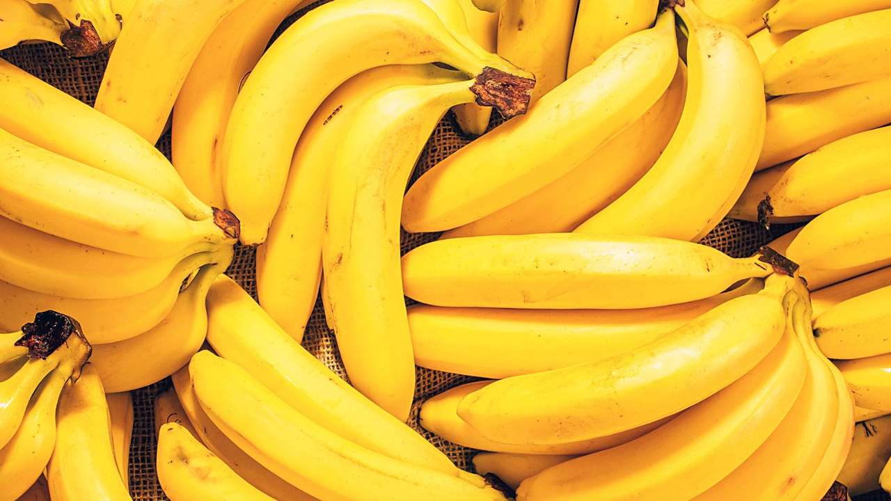 Россельхознадзор попросил остановить поставки бананов в Россию с предприятий Эквадора