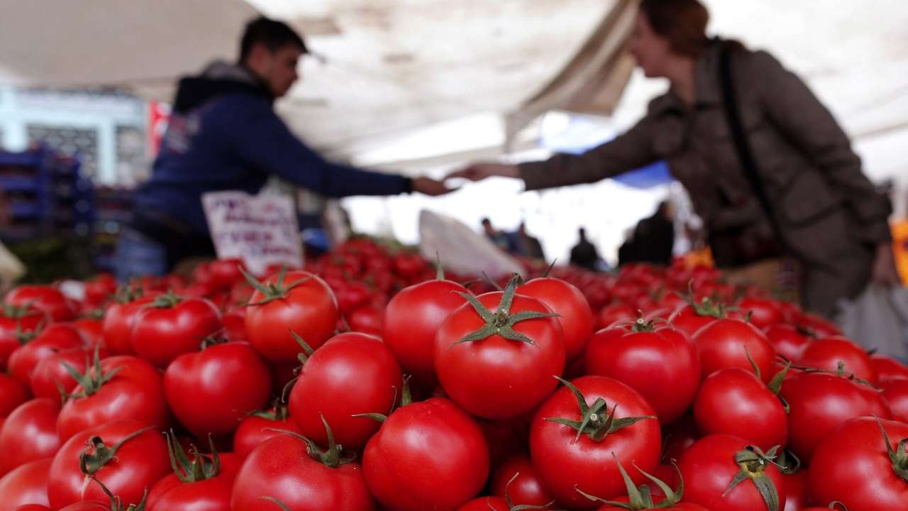 Правительство отменило пошлины на ввоз томатов в объеме до 100 тыс. тонн
