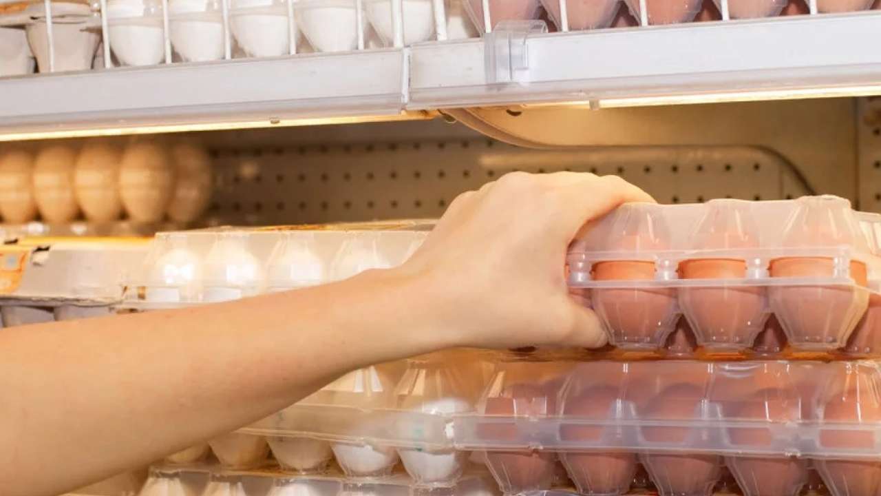 В Росптицесоюзе исключили дефицит куриных яиц в России на Пасху